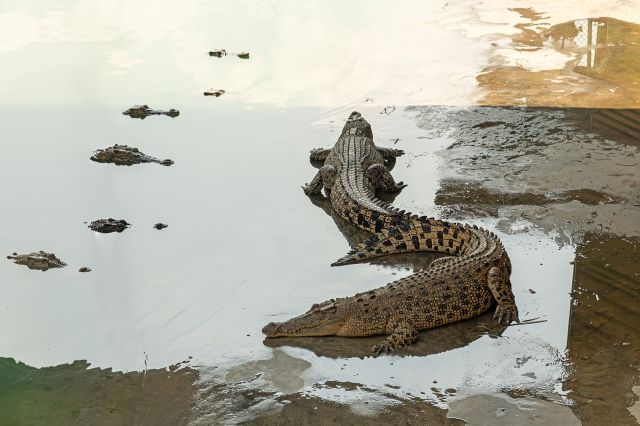 "How far will they move?"