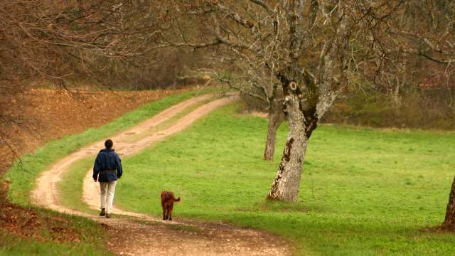 "Is it a system thing? ... Or is it people don't care?"
