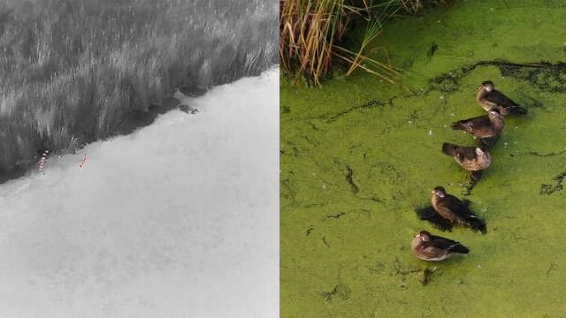 "Our findings show that drones are a reliable and efficient tool."