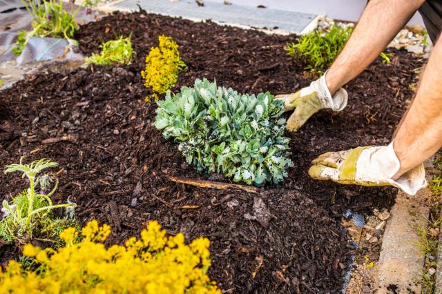 Choosing the wrong weed management method can waste time, money, and resources.