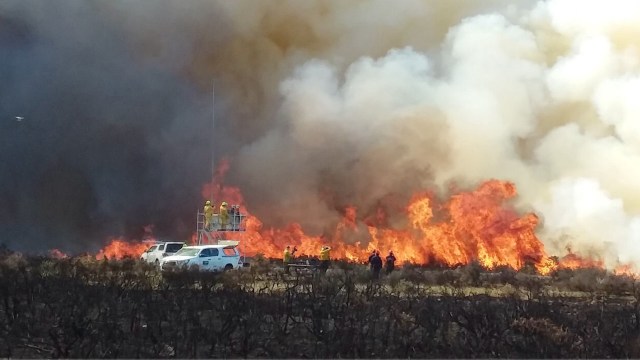 "Accurate and timely wildfire danger forecasting is necessary for preparedness and response."