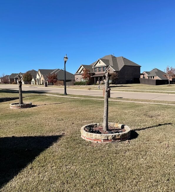 Many commenters were left wondering what the owners were thinking.