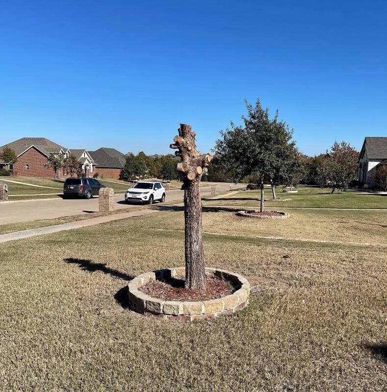 Many commenters were left wondering what the owners were thinking.