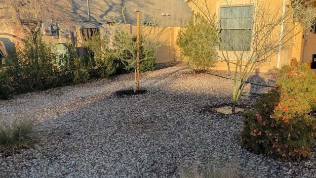 "Giving my plants a good soak now that they're starting to wake up."