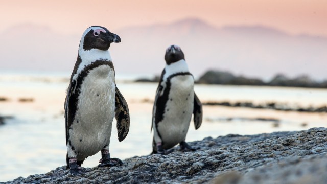 "Our journey is far from over."