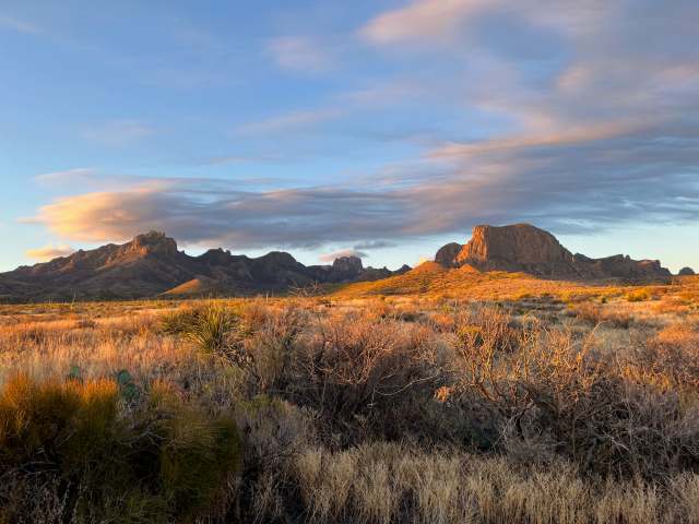 "Fascinating piece of American natural heritage."