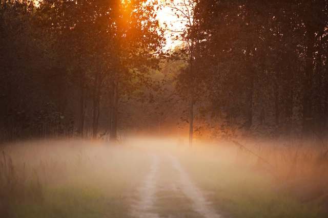 "This event highlights the critical role of even the smallest ecological components."