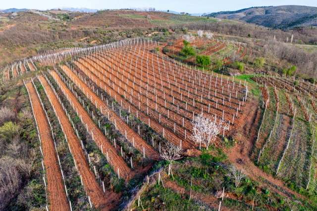 Consumers can expect higher prices at the market for key crops.