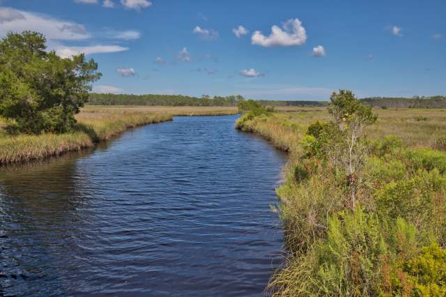 "We face another threat that is starting to really scare the entire community."