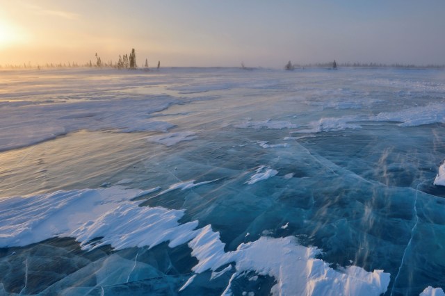 "Underscores the need for further study."