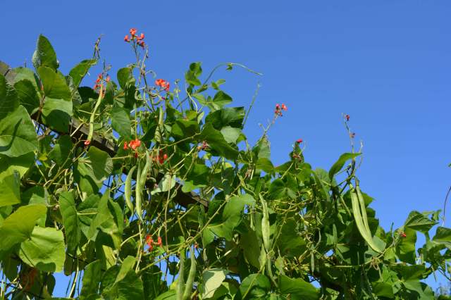 They’re not the only ones struggling.