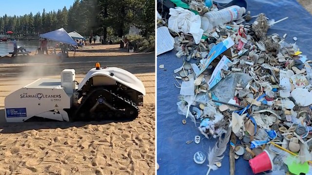 "Wow that's amazing."