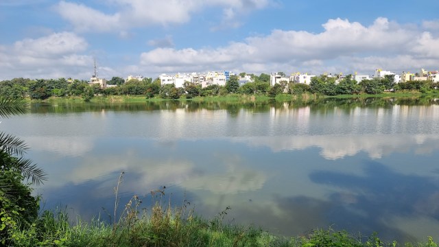 "If we catch the rainfall properly, we will have more than enough water."