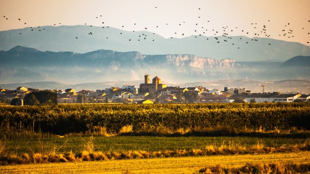 This new development could have a big impact on conservation efforts.