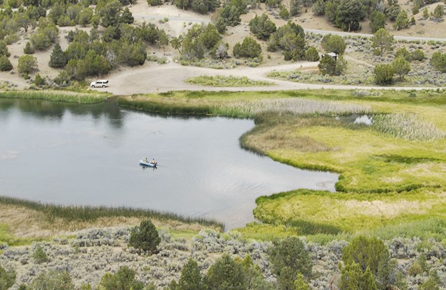 "It's all very exciting."