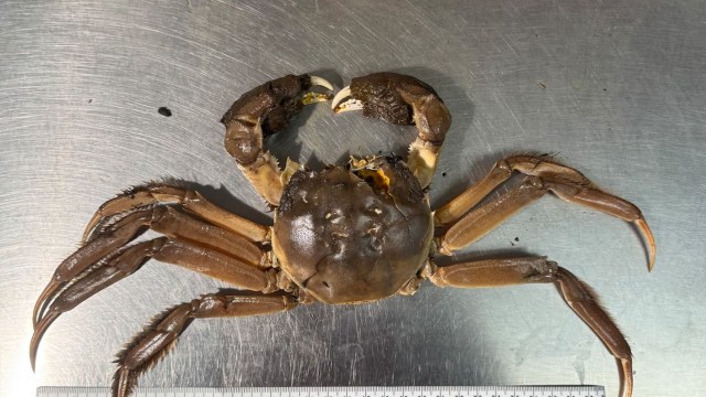 "This could potentially be really bad."