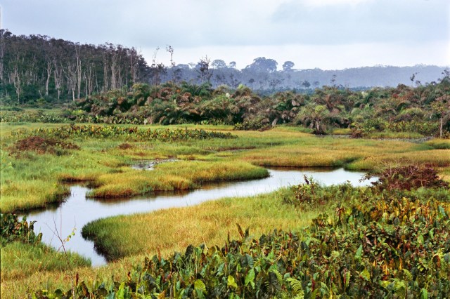 "I'm careful about the meat I put on my plate."
