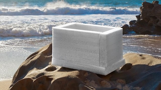 "Setting a strong example."