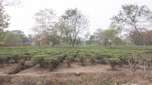 "It is hurting the ... industry."