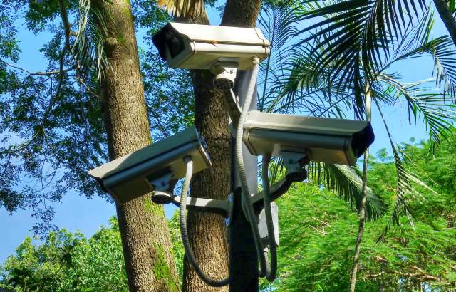 The entire incident was captured on the park’s CCTV footage.