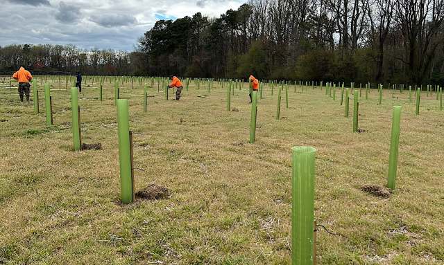 This funding will go a long way.