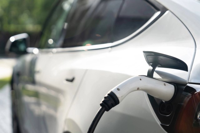 "You shouldn't do this."