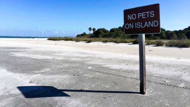 "If this is the end ..."