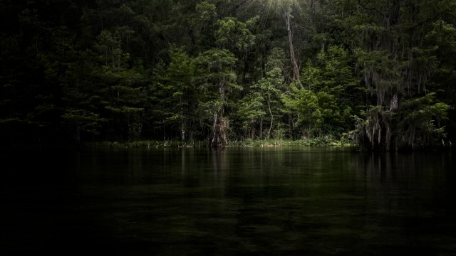 "There's just no way to protect animals and plants from extinction without protecting the places they live."