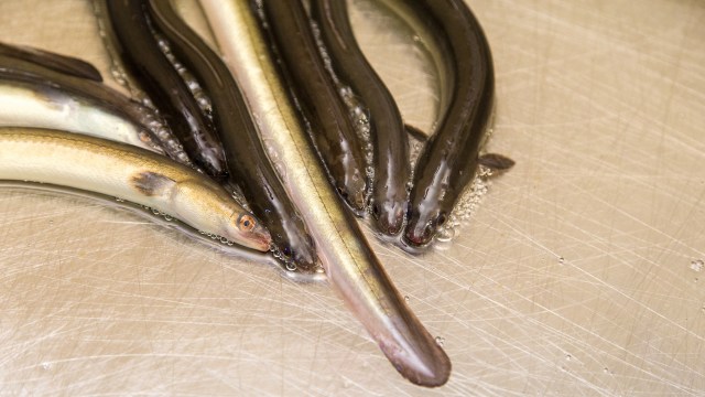 "It is absolutely devastating."