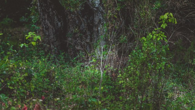 "We're going to see more and more deaths."