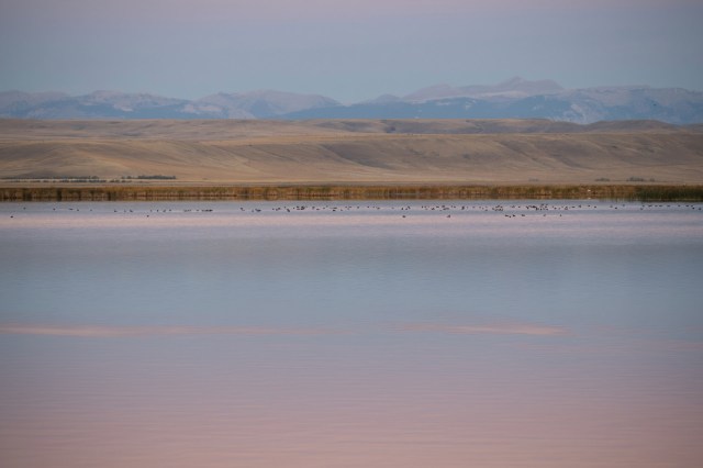 The festival features a weekend of free events, educational programs, and guided tours.