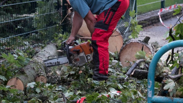 "There was nothing in the documents they'd been given restricting solar."