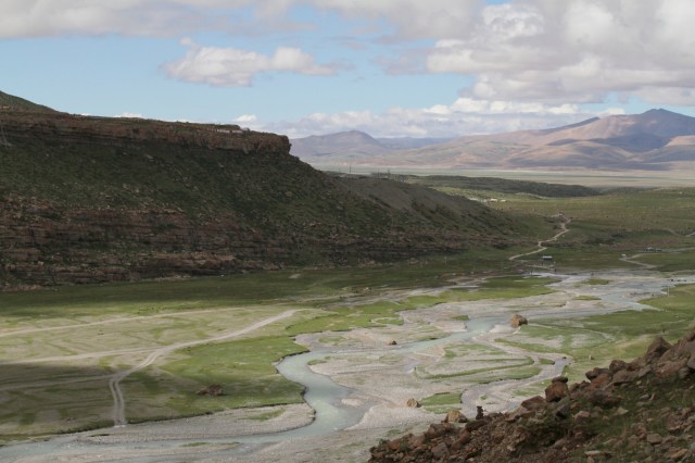 The beautiful creature certainly stands out.