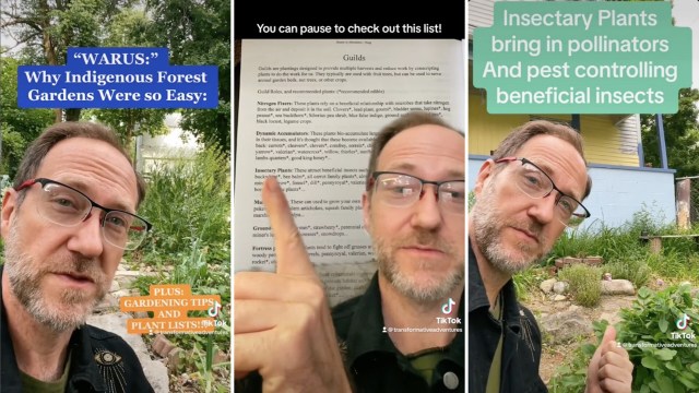 "The key is working with nature rather than fighting against it."