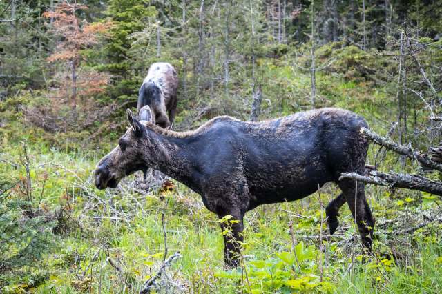 The study had a few suggestions for dealing with this issue.