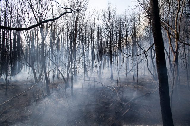 "This is now the biggest wildfire in the state this year and one of the worst in nearly 20 years."
