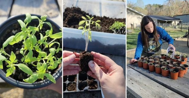 "This just happened to me."