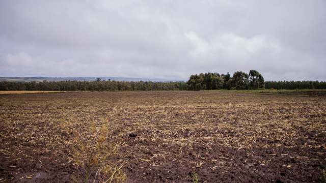 "Our fields are exposed."