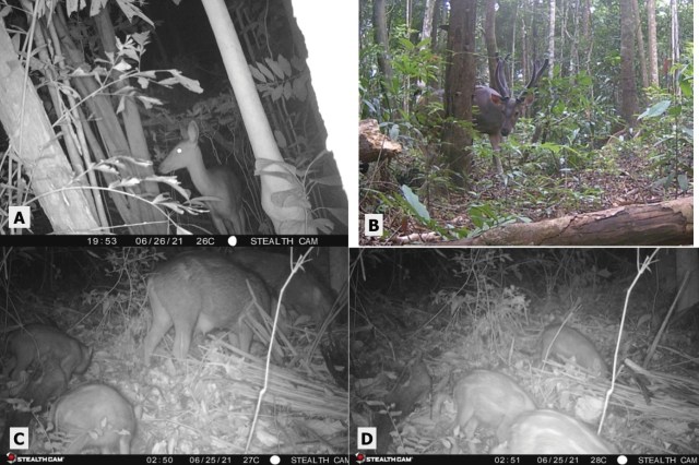 The study underscores the importance of understanding and managing the environment.