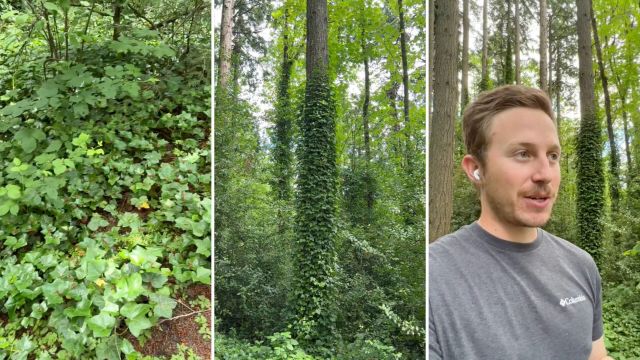 Understanding what's growing — and why it matters — is a powerful first step.