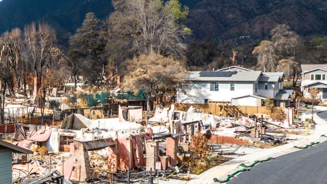 "They're in a wait-and-see mode."