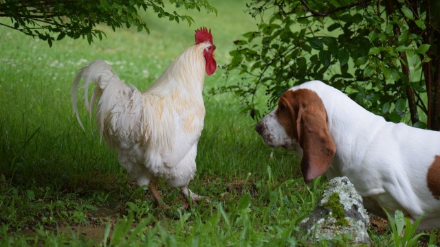 "This year's session opened with an air of trepidation as the state faced so many issues."