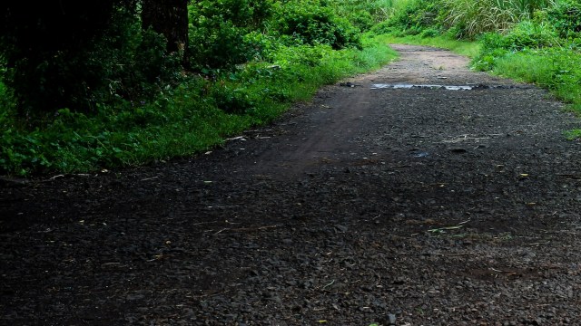 Eleven suspects were arrested.