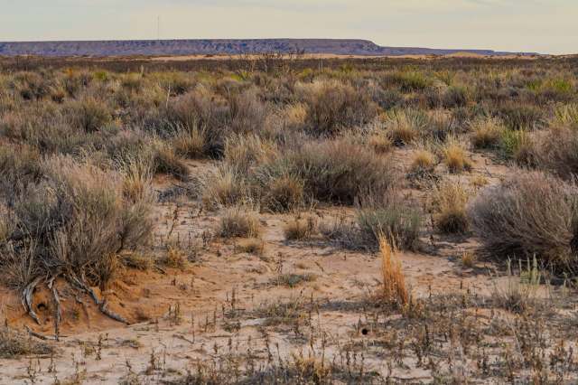 The numbers show progress since the program started in 1998.