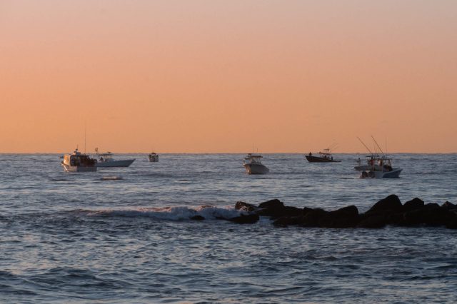 "This will enable us to implement different mitigation strategies to protect them."