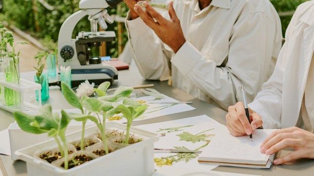 The rice supply has been shrinking in recent years with extreme weather impacting crops.