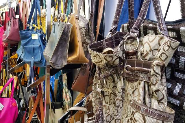 "You lucky duck, you must be buzzing!"