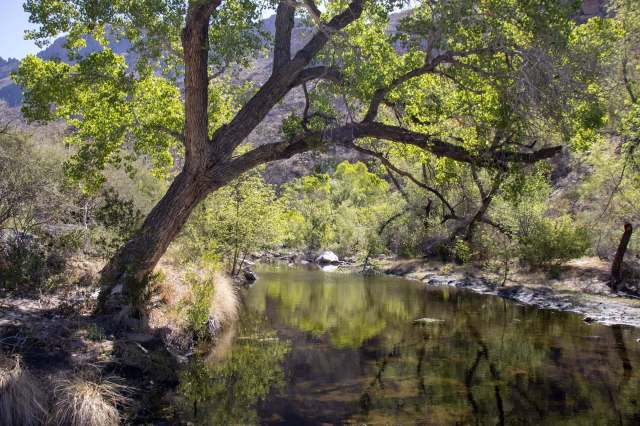 "And a visceral relief, a weight lifted."