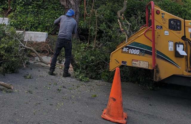 "We lost our curb appeal."