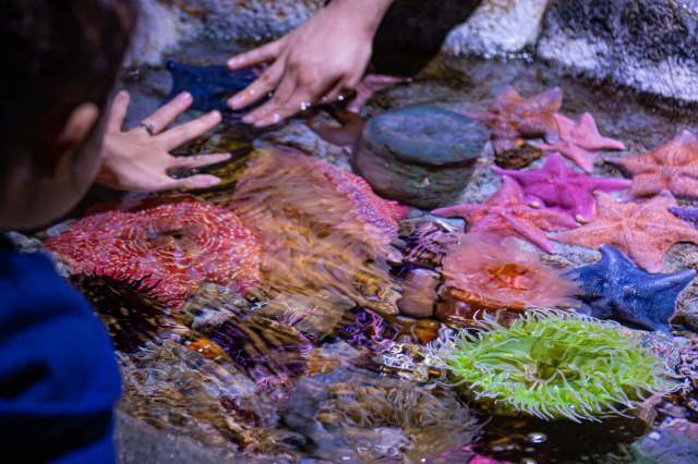 Locals are relieved the animals at SeaQuest are finally in good hands.